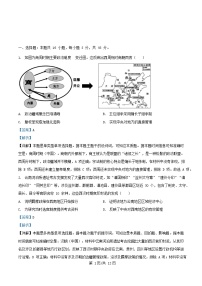 四川省内江市2025_2026学年高二历史上学期第一次月考试题含解析