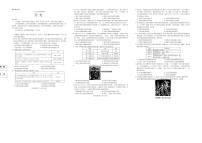 河南省青桐鸣大联考2025-2026学年高三上学期1月月考历史试题（PDF版附解析）