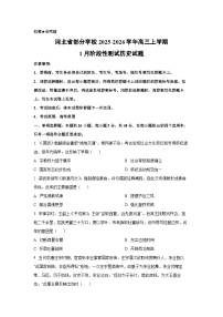 2025-2026学年河北省部分学校高三上学期1月阶段(月考)性测试历史试卷（学生版）