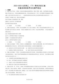 2023-2025北京高二(下)期末历史汇编:丰富多样的世界文化章节综合
