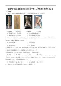 2025-2026学年新疆喀什地区疏勒县高一上学期期末质量监测历史试卷（含答案）