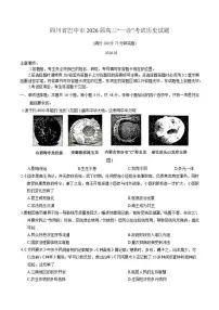 2026届四川省巴中市高三上“一诊”考试历史试题（含答案）