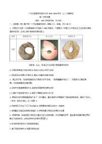 2025—2026学年度四川省广元外国语学校高一上学期期中考试历史试题（含答案）