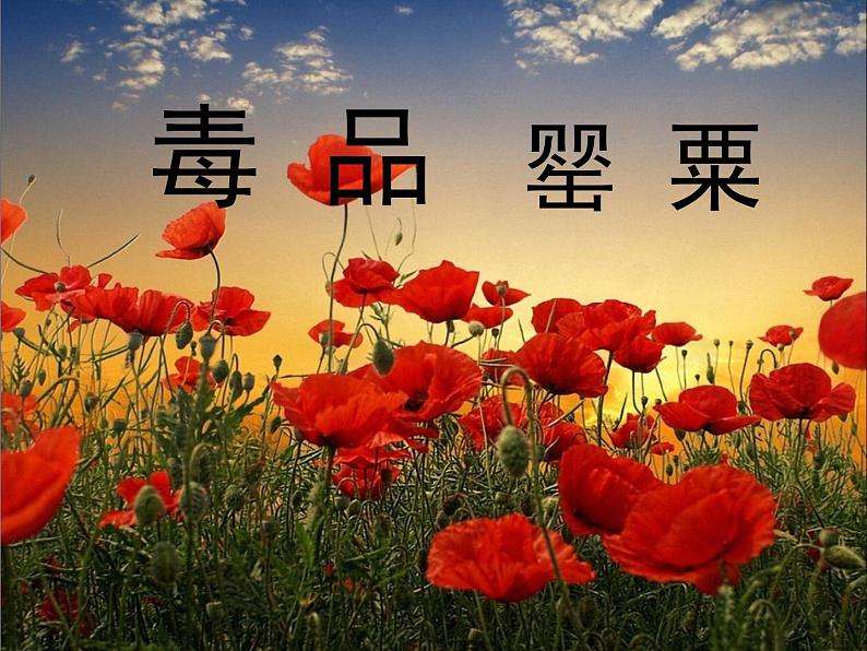 高一历史必修一课件:12 鸦片战争(共42张PPT)01