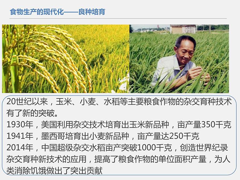 2021春人教统编版高二历史上册(课件)第03课 现代食物的生产、储备与食品安全(选择性必修二:经济与社会生活)第7页