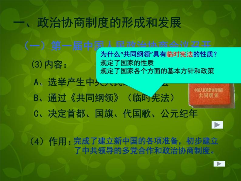 高中历史人教版必修一 第20课 新中国的民主政治建设课件（共19 张PPT）08