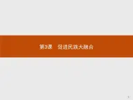 高二历史（福建）人教版选修1课件：3.3 促进民族大融合