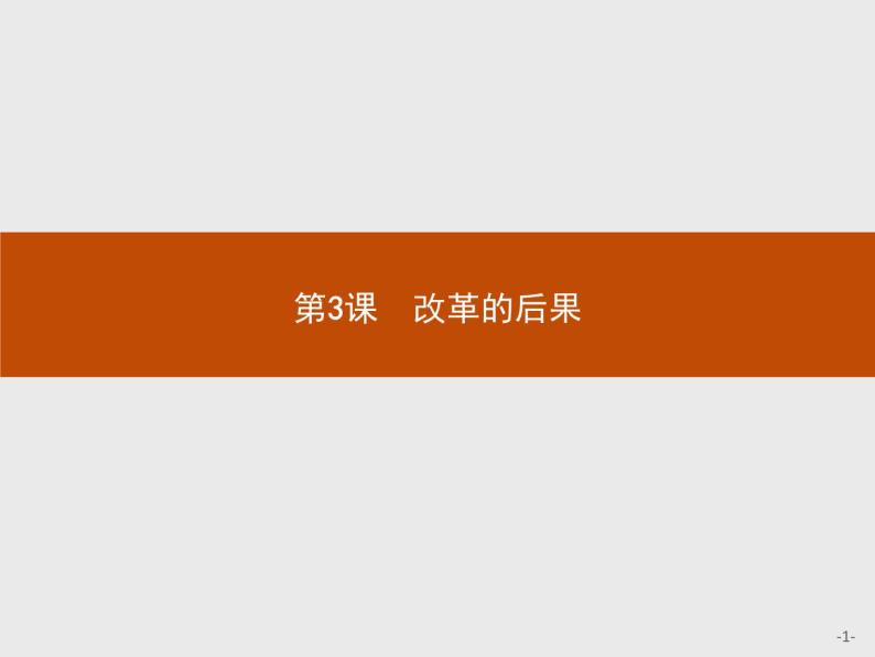 高二历史（福建）人教版选修1课件：6.3 改革的后果01