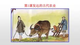 必修2歷史人教版第1課  發(fā)達(dá)的古代農(nóng)業(yè) PPT課件