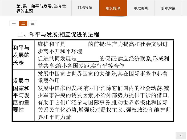 高中历史人教版选修3课件:6.3 和平与发展:当今世界的主题课件04