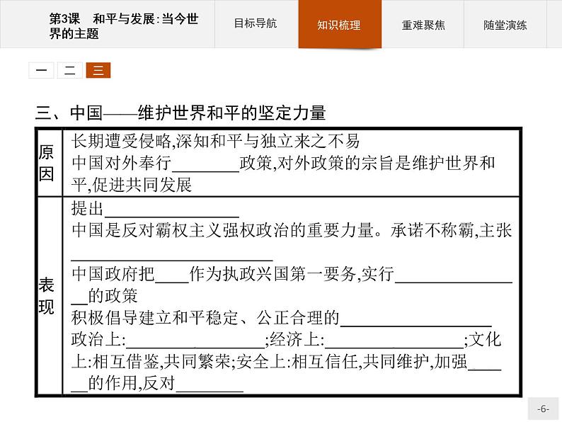 高中历史人教版选修3课件:6.3 和平与发展:当今世界的主题课件06
