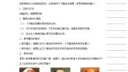 历史必修1 政治史第19课 俄国十月革命的胜利教学设计