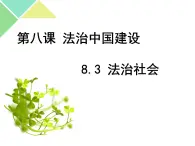 8.3 法治社会 课件