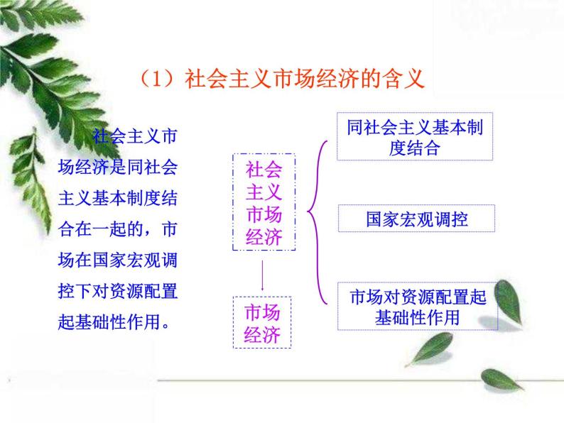 人教版（新课标）高中政治 必修一 4.9.2社会主义市场经济（人教版必修1）课件PPT07