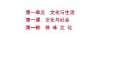 政治思品必修3 文化生活第一单元 文化与生活第一课 文化与社会1 体味文化课文配套ppt课件