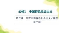 高考政治一輪復(fù)習(xí)中國(guó)特色社會(huì)主義第3課只有中國(guó)特色社會(huì)主義才能發(fā)展中國(guó)課件新人教版必修1