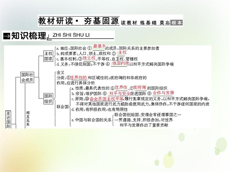 2022届高中政治一轮复习第四单元当代国际社会9走近国际社会课件新人教版必修2第3页