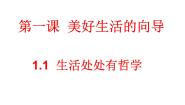 人教版 (新课标)必修4 生活与哲学第一单元   生活智慧与时代精神第一课 美好生活的向导1 生活处处有哲学教学演示课件ppt