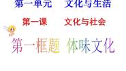 人教版 (新课标)必修3 文化生活1 体味文化授课ppt课件