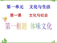 人教版高中政治必修三1.1 体味文化 课件