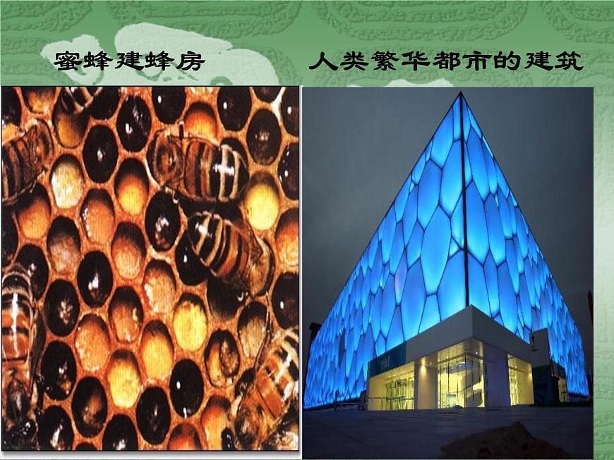 人教版（新課標(biāo)）高二政治生活與哲學(xué)第二單元第五課把握思維的奧妙2.5.2意識的作用教學(xué)課件第4頁