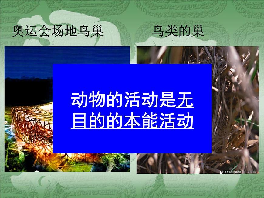 人教版（新課標(biāo)）高二政治生活與哲學(xué)第二單元第五課把握思維的奧妙2.5.2意識的作用教學(xué)課件第5頁