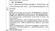 人教版 (新课标)必修2 政治生活2 民族区域自治制度：适合国情的基本政治制度教学设计