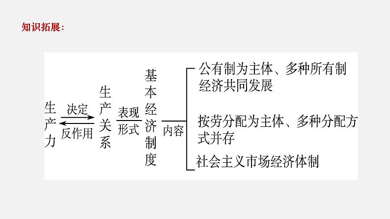第一课 我国的生产资料所有制-2022年高考政治一轮复习精品课件(新教材新高考统编版必修2)第7页