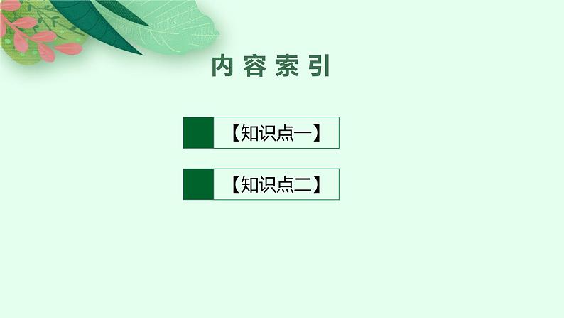 人教版新高考思想政治一轮复习课件--治国理政的基本方式第4页