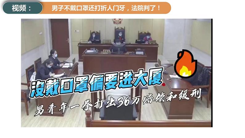 8.3 法治社会(课件+素材+教学设计)2021-2022学年高中政治人教统编版必修3政治与法治05