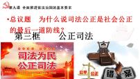 人教统编版必修3 政治与法治公正司法课文ppt课件