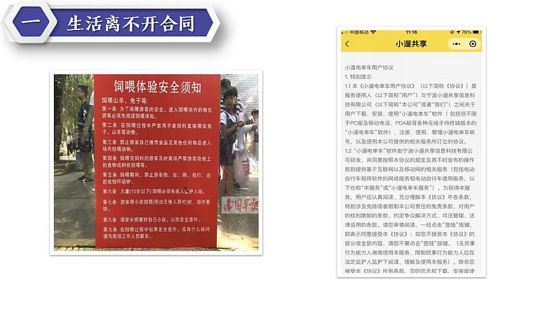 3.1 订立合同学问大 课件7 选择性必修二法律与生活第8页