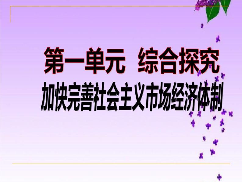 综合探究一加快完善社会主义市场经济体制课件2 必修二经济与社会01