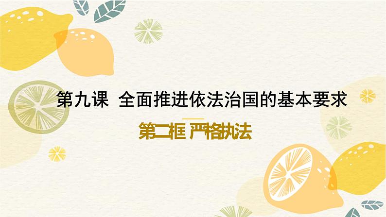 9.2 严格执法 课件 7 必修三政治与法治第1页