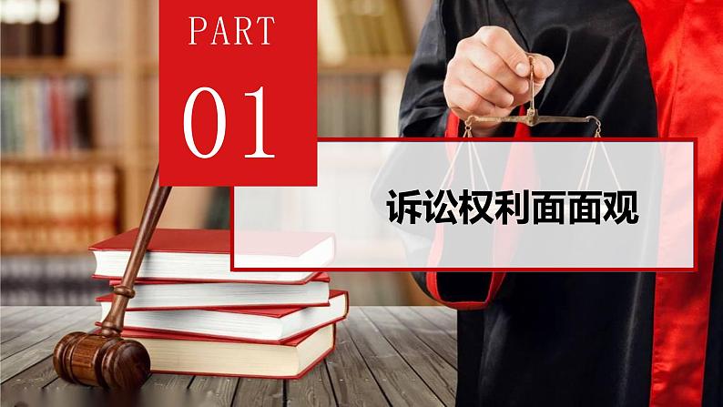 10.1 正确行使诉讼权利 课件 高中政治人教部编版选择性必修204