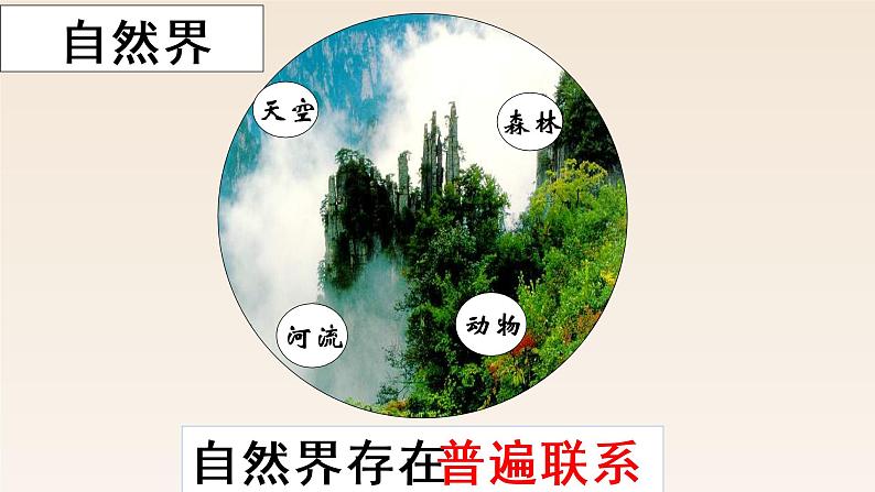 3.1世界是普遍联系的 课件-2022-2023学年高中政治统编版必修四哲学与文化第8页