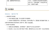 高中政治 (道德与法治)人教统编版选择性必修2 法律与生活保障各类物权导学案