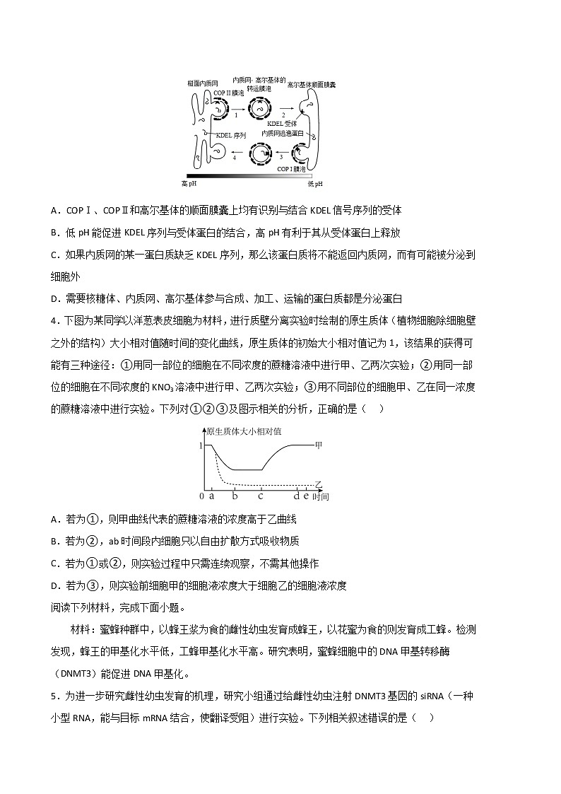 2023年高考政治第二次模拟考试卷—生物(浙江B卷)(考试版)A4第2页