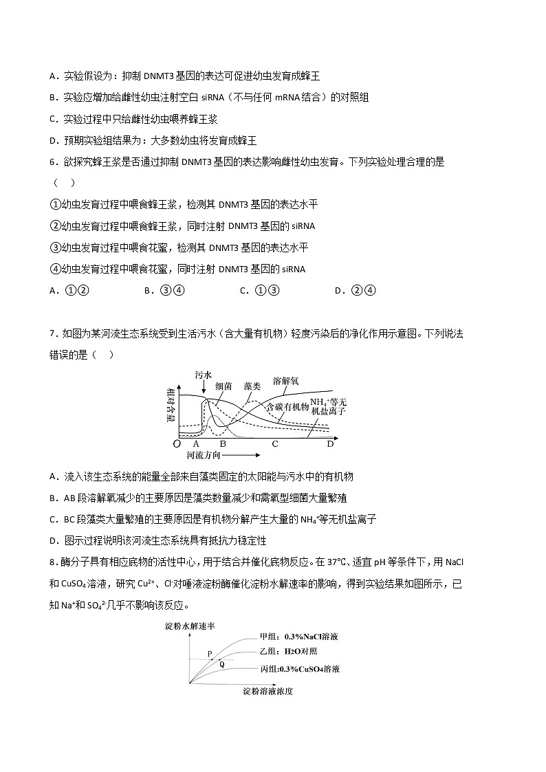 2023年高考政治第二次模拟考试卷—生物(浙江B卷)(考试版)A4第3页