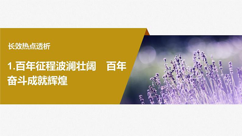 2024届高考一轮复习政治课件(部编版)必修1 阶段提升复习一 中国特色社会主义第4页