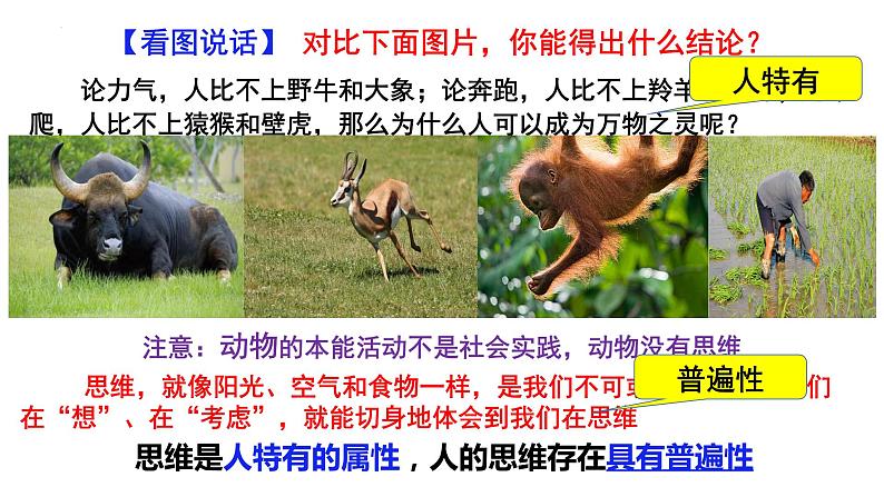 思维的含义与特征课件-高中政治统编版选择性必修三逻辑与思维第6页