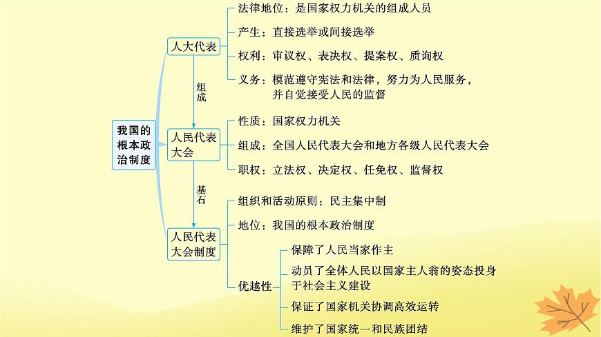 適用于新教材2024版高考政治一輪總復(fù)習(xí)第二單元人民當(dāng)家作主第5課我國(guó)的根本政治制度課件部編版必修3第3頁(yè)