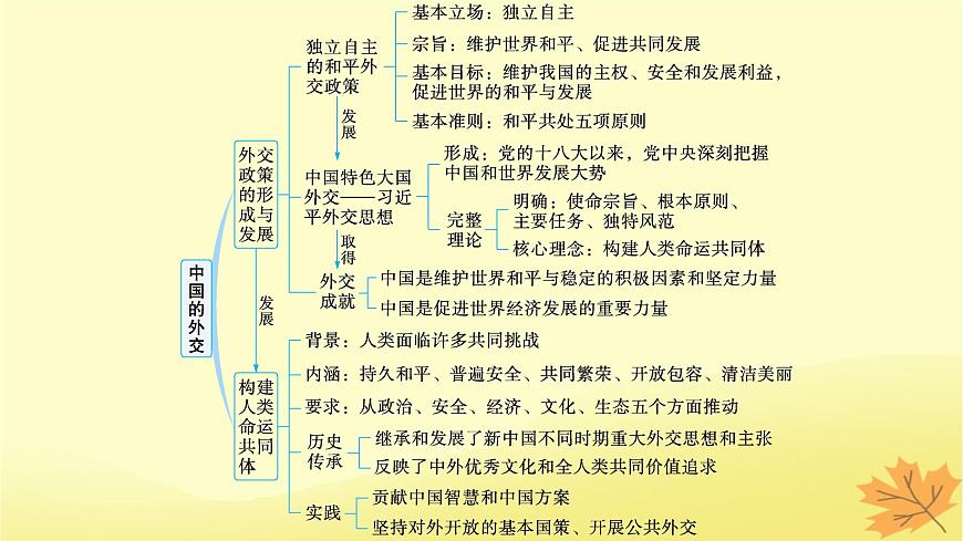 適用于新教材2024版高考政治一輪總復(fù)習(xí)第二單元世界多極化第5課中國(guó)的外交課件部編版選擇性必修1第3頁