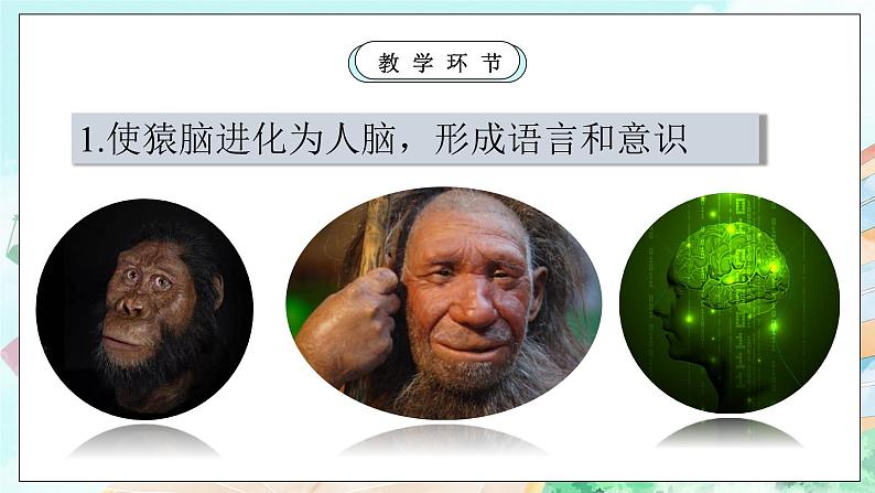 【核心素养目标】新教材必修四《哲学与文化》5.1社会历史的本质 课件第8页
