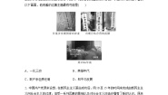 高中政治 (道德与法治)人教统编版必修1 中国特色社会主义社会主义制度在中国的确立综合训练题