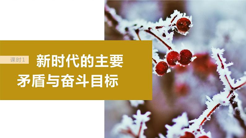 2024届高考政治一轮复习(部编版江苏专用)必修1中国特色社会主义第四课课时1新时代的主要矛盾与奋斗目标课件第6页