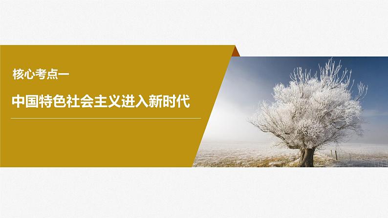 2024届高考政治一轮复习(部编版江苏专用)必修1中国特色社会主义第四课课时1新时代的主要矛盾与奋斗目标课件第8页
