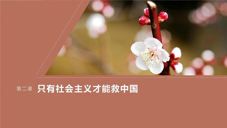 2024届高考政治一轮复习(部编版江苏专用)必修1中国特色社会主义第二课只有社会主义才能救中国课件第1页