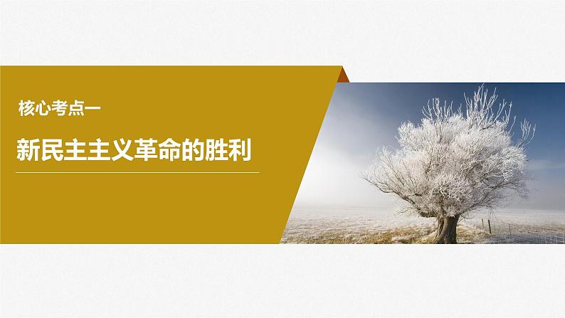 2024届高考政治一轮复习(部编版江苏专用)必修1中国特色社会主义第二课只有社会主义才能救中国课件第6页