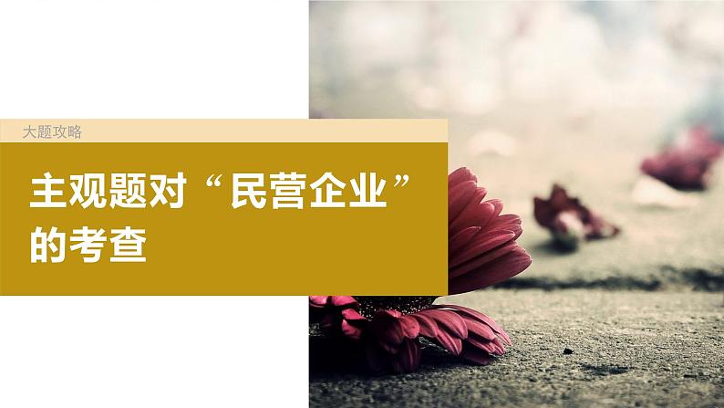 2024届高考政治一轮复习(部编版江苏专用)必修2经济与社会第五课大题攻略主观题对“民营企业”的考查课件第2页
